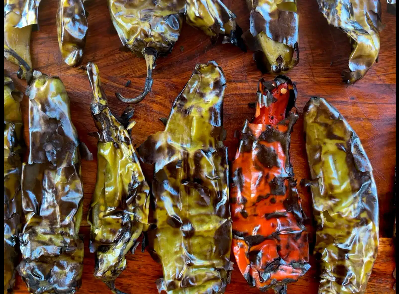 Fred's Chile-Photo Courtesy of Joseph Griffo